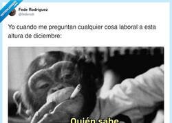 Enlace a Yo en la reunión de cierre de año: «objetivos 2026» y yo pensando en si llego vivo a mañana, por @federodr