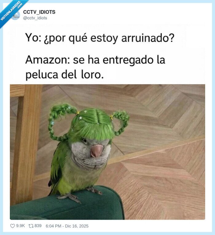 p&aacute;jaro,peluca,gastos,entrega,diversi&oacute;n