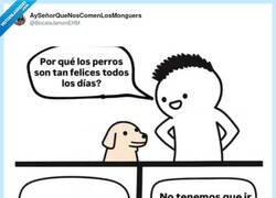 Enlace a Encima les pagamos el pienso por hacernos sentir miserables, por @BocataJamonEHM