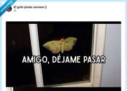 Enlace a Cuando el banco te manda un SMS y tú ya estás en pijama: “abre que soy un hada, traigo el descubierto”
