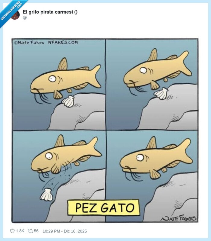 pezgato,gato,pescado,natafakes,comedia