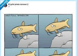 Enlace a Peces con comportamiento de gato, por @ErigolDelViento