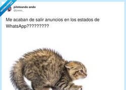 Enlace a Pues me cambio a Telegram por puro orgullo, por @jowas_