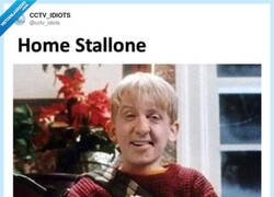 Enlace a Olvida las trampas, aquí los ladrones se van a base de puñetazos, por @cctv_idiots