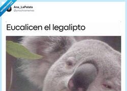 Enlace a Yo después de decir “una copa y me voy”, por @ymuchosmemes