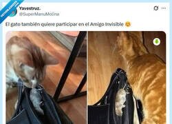 Enlace a Lo importante es la intención por @supermanumolina