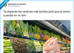 Enlace a Deme medio kilo de culpa saludable, porfa, por @Animalesaprieto