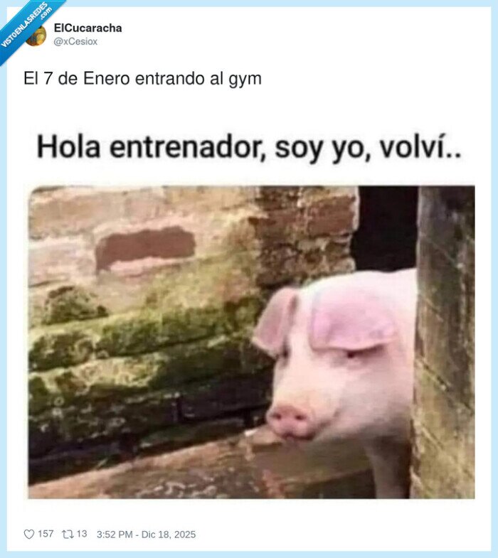 gym,a&ntilde;o_nuevo,vuelta,deporte,motivaci&oacute;n