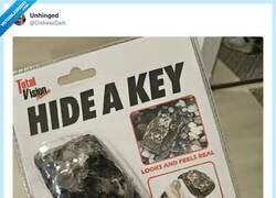 Enlace a Cuando el ladrón saca copia de tu llave antes de que tú la pierdas, por @DistressDark