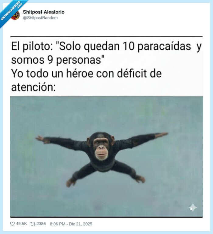 paracaidas,chimpanc&eacute;,atenci&oacute;n,piloto,h&eacute;roes