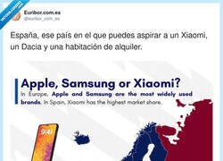 Enlace a En Europa eligen marca, en España elegimos modo supervivencia mensual, por @euribor_com_es