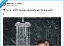 Enlace a Cuando llevas un mes diciendo que “tú este año pasas de regalar” y se acerca el 24 como quien no quiere la cosa, por @Animalesaprieto