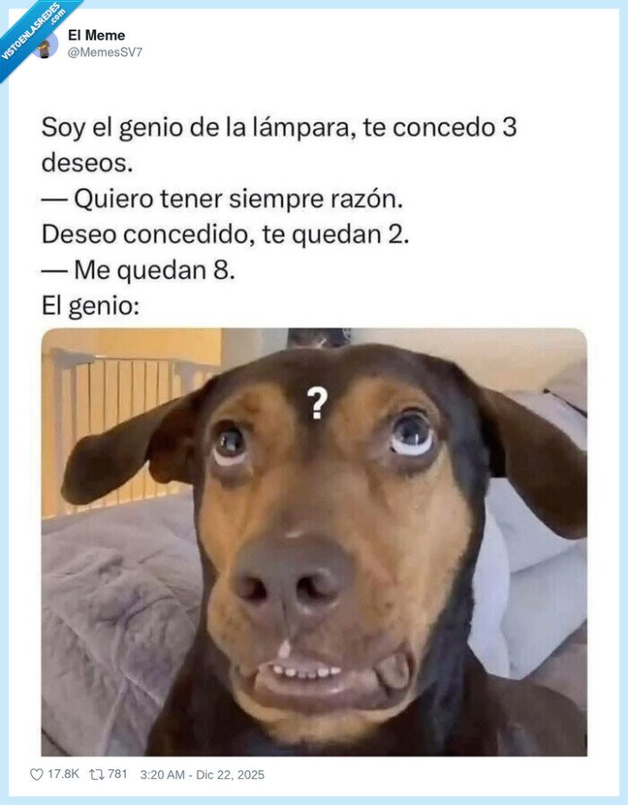 genio,deseos,razon,perro,confusion