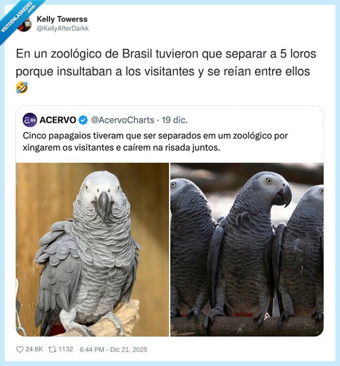 loros,toxicos,insultos,risas