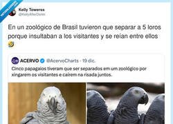 Enlace a Separan a los loros por toxicidad pero al zoo lo dejan abierto, curioso, por @KellyAfterDarkk