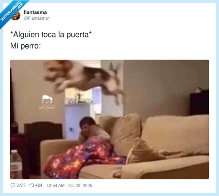 perro,abrir,puerta