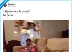 Enlace a Tranquilo, que si es Hacienda yo me sacrifico primero, por @Flantasma1