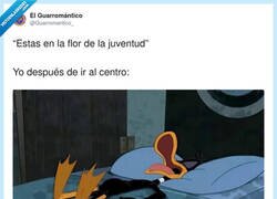 Enlace a La flor de la juventud pero ya tirada en el jarrón, por @Guarromantico_