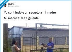 Enlace a Yo: «no se lo cuentes a nadie». Mi madre: *rueda de prensa a las 6*, por @isnt_she_selena