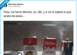 Enlace a Llevo 5 sorbos intentando adivinar de qué granja sale esta vaca tan… contundente, por @mercheiglesiasc