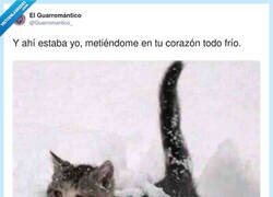 Enlace a Yo intentando ser frío pero se me siguen notando los sentimientos en la mirada, por @Guarromantico_