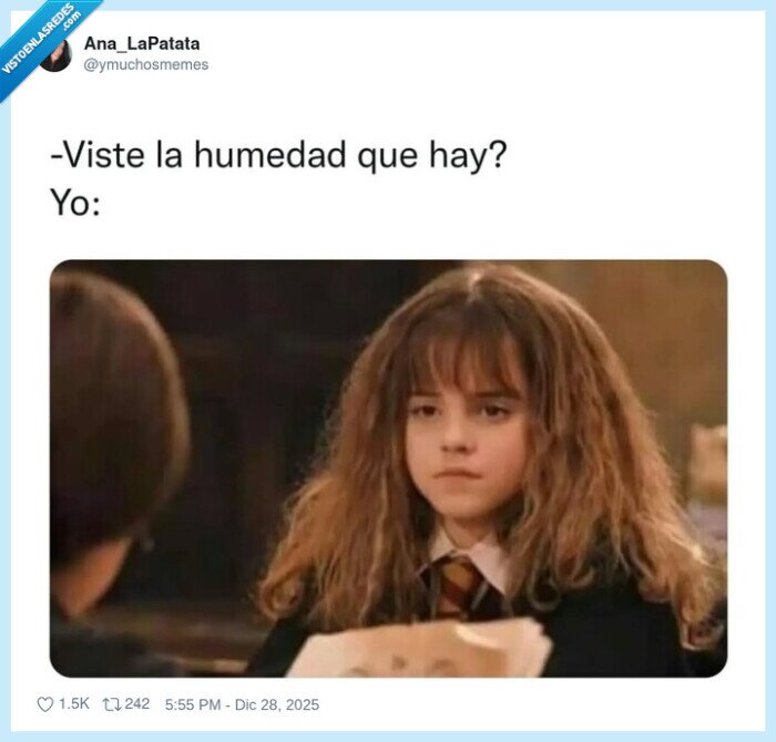 humedad,pelo,despeinado,expresion,harrypotter