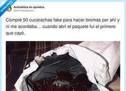 Enlace a La vida es eso que pasa mientras tú mismo te haces la peor broma, por @Animalesaprieto
