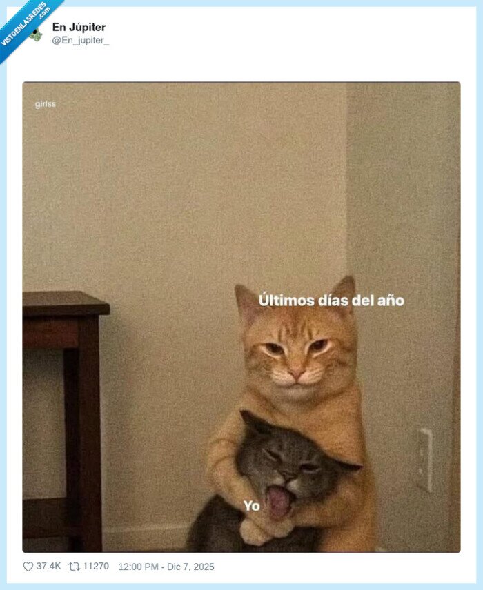 gatos,a&ntilde;o,abrazo,final,cansancio