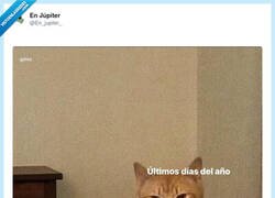 Enlace a Yo solo quería cerrar ciclos y los ciclos me están cerrando el cuello, por @En_jupiter_