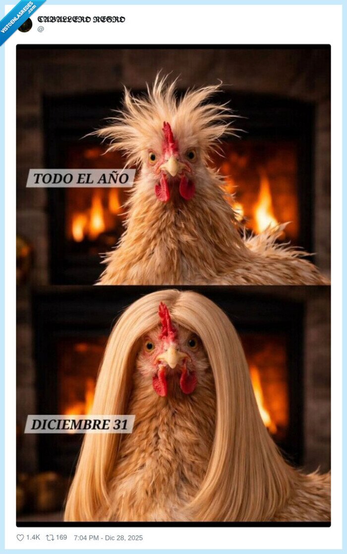 gallina,peluca,a&ntilde;o,navidad,fiesta