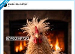 Enlace a Aunque la mona se vista de seda...