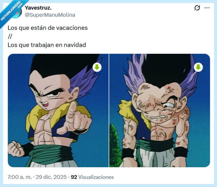 vacaciones,dragon ball,trabajar,navidad