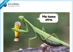 Enlace a Carpe diem hermano, por @ymuchosmemes