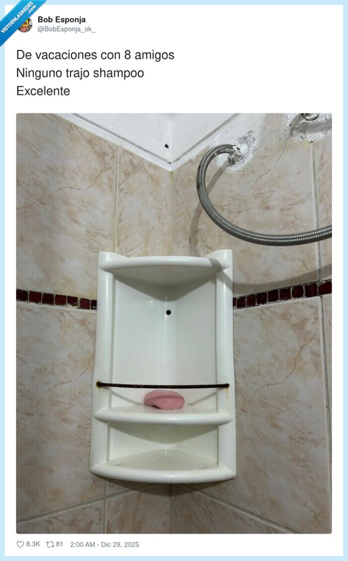 vaciones,shampoo,amigos,ducha,excelente