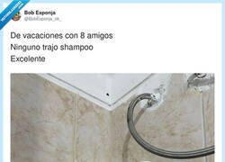 Enlace a Podríamos ser mis colegas y yo, por @BobEsponja_ok_