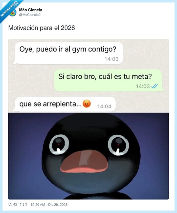 motivaci&oacute;n,para,2026,gym,metas,pingu