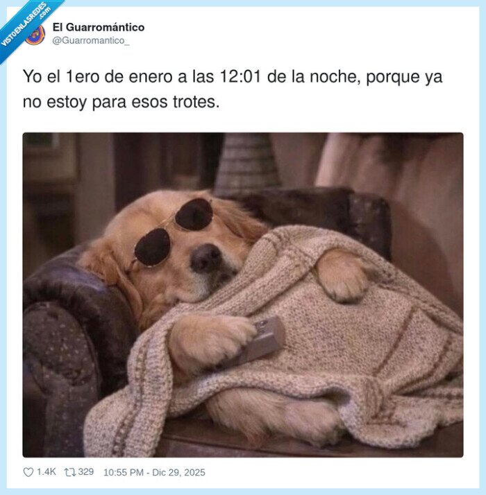 perro,sobrio,a&ntilde;o,nuevo,cansancio