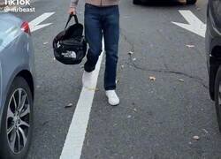 Enlace a Si fuera España, Hacienda estaría apuntando matrículas