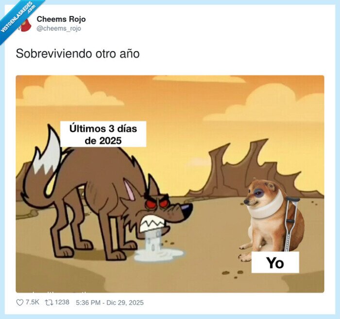 sobrevivir,a&ntilde;o,desierto,mascota,cansancio
