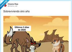 Enlace a Yo ya no pido que 2025 mejore, solo que deje de dar coletazos, por @cheems_rojo