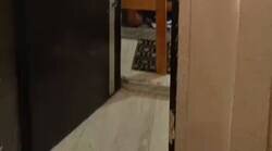 Enlace a Lo que tienes por 550€ en Valencia, ¡chollazo!