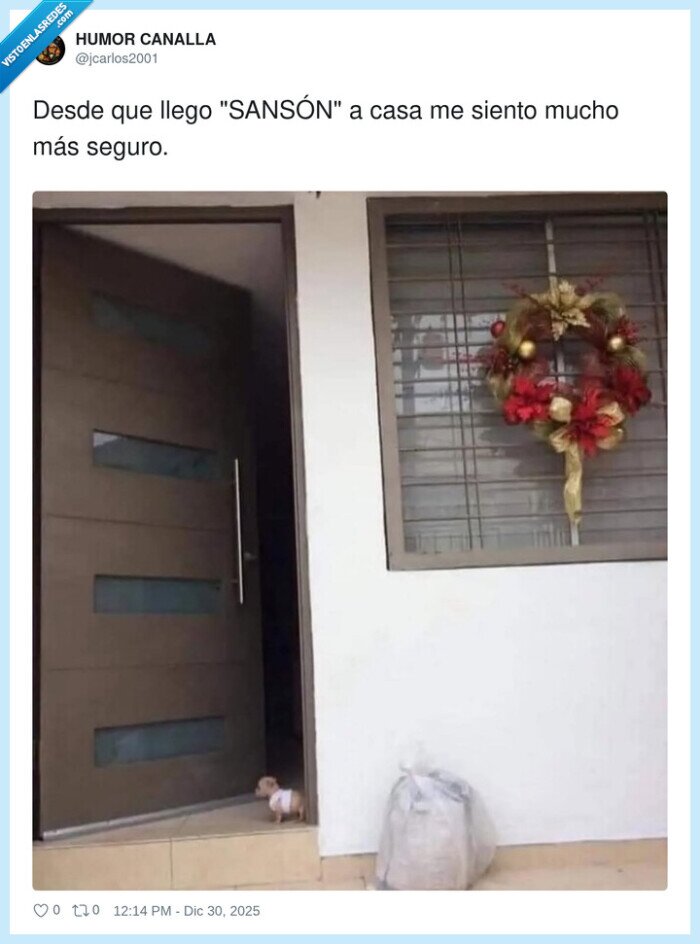 perro,seguridad,casa,puerta,adorno