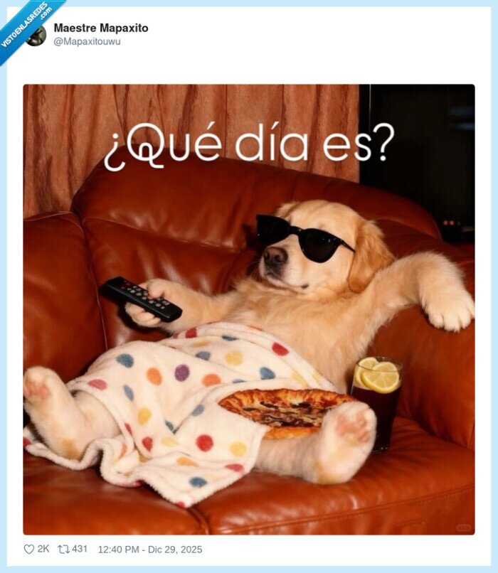 perro,sobremesa,televisi&oacute;n,piza,gafas