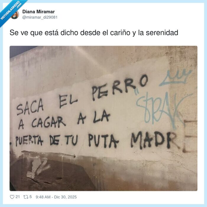 graffiti,insulto,muro,lenguaje,calle