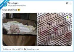 Enlace a Algo habrá hecho por @supermanumolina