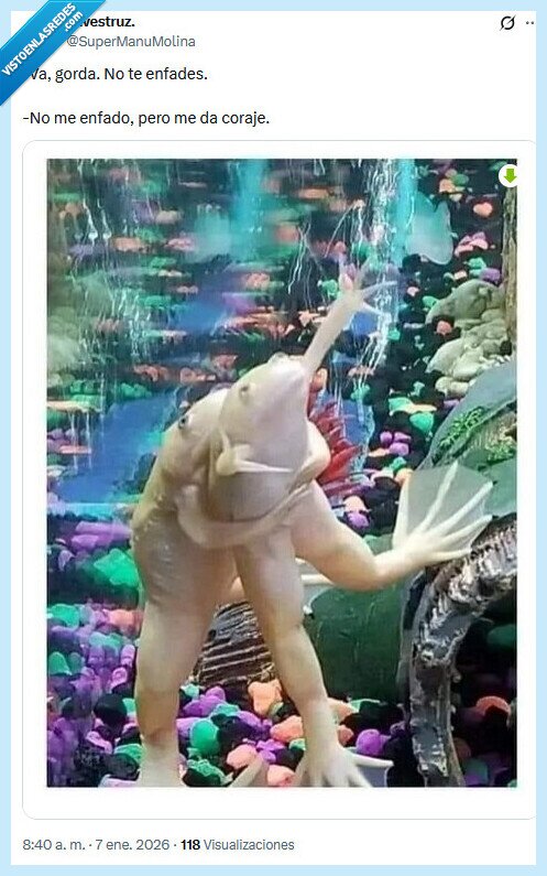 coraje,pareja,enfado