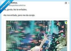 Enlace a Son cosas distintas por @supermanumolina