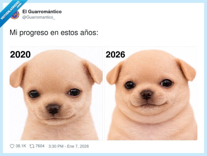 progreso,perro,2020,2026,cara
