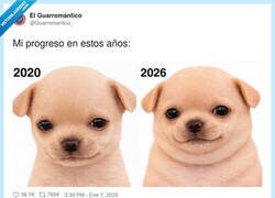 Enlace a Igual pero con más papada, por @Guarromantico_