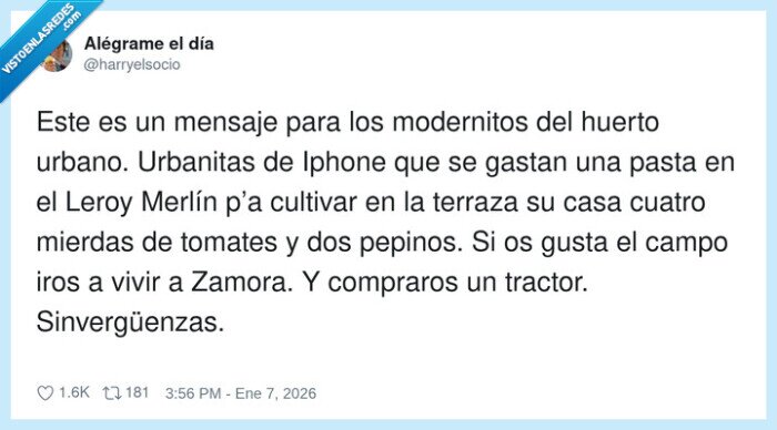 huerto_urbano,Zamora,trabajo_campos,Leroy_Merl&iacute;n,cosecha